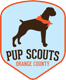 Ocpupscouts