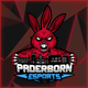 PaderbornESports