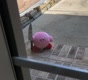PensiveBon