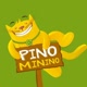 Pino_minino