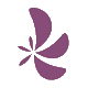 PlastischeChirugie