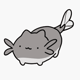 PondHQ