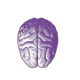 PurpleBrain