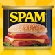 SPAMbrand