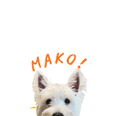 Giphy profile picture for @STOKED