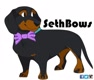 SethBows