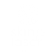 SkinLaserSupport