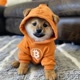 TheDogOfBitcoin