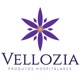 Velloziaoficial