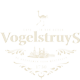 Vogelstruys