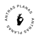 antras_planas