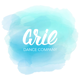 ariedancecompany