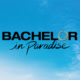 Bachelor in Paradise Avatar