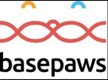 basepaws