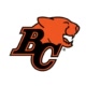 BC Lions Avatar