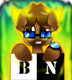 bnking