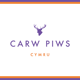 carwpiws