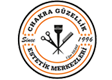 chakraguzellik