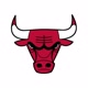 Chicago Bulls Avatar