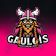 hockeyclubchalons