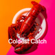coldestcatch