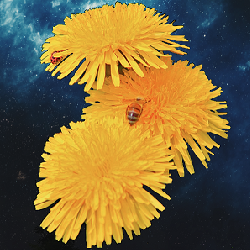 Giphy profile picture for @dandelion
