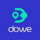 dowesolutions