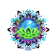 earthdancecapetown