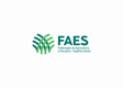 faes-senares