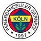 fenerbahcelilerdernegi