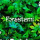 forestami