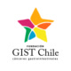 GIST Chile Foundation Avatar