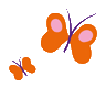 hipporganic