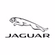 jaguarusa