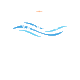 lapyachting