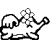 lentopet