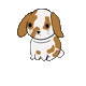 perritofrito
