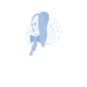 narrozunft