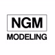 ngmmodeling