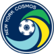 New York Cosmos Avatar