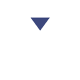 pallacorda