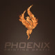 phoenixflusa