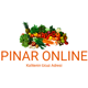 pinaronline