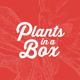 plantsinabox