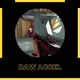 raw_accel