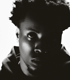 roywoods
