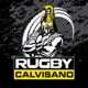 rugbycalvisano