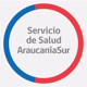 saludaraucaniasur