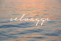 selvaggiswimwear