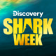 Shark Week Avatar